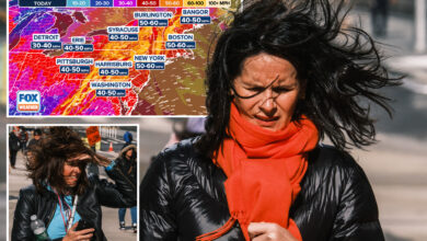 NYC braces for blustery weather with winds reaching up to 60 mph