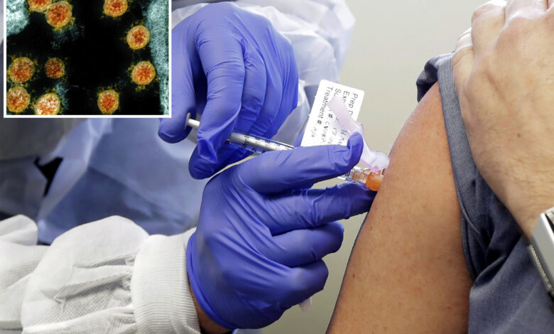 Scientists study man who received over 200 COVID-19 vaccines