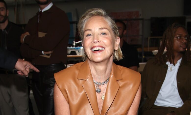 Sharon Stone's Money Comments: Why Fame Is Expensive