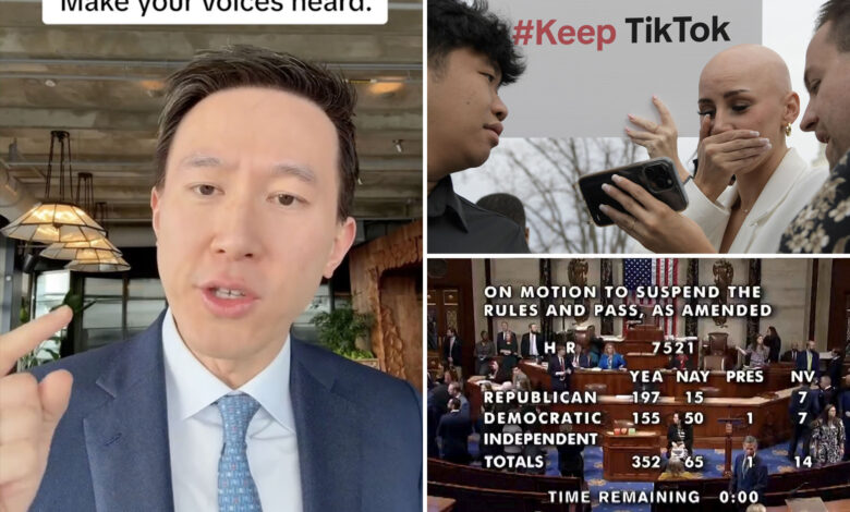 TikTok CEO Shou Chew tells users to 'make your voices heard,' contact senators as House bill gains steam