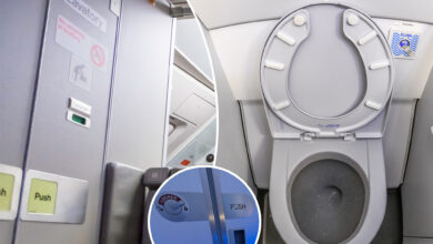 What makes airplane toilets so ‘extraordinary’? Flight experts explain why they suck — in a good way