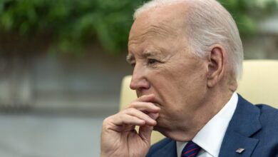 Biden's only strategy is to 'give away more stuff': veteran political strategist