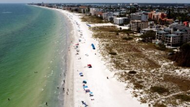 Aerial view of Florida's Gulf Coast beach with buildings, highlighting the surging real estate market