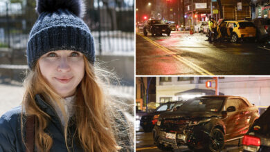 NYC start-up founder Sophia D'Antoine dies after being mowed down crossing UES street