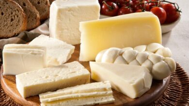 Different types of cheese, bread and tomatoes