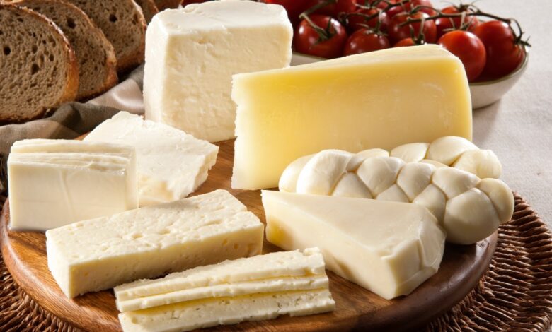 Different types of cheese, bread and tomatoes