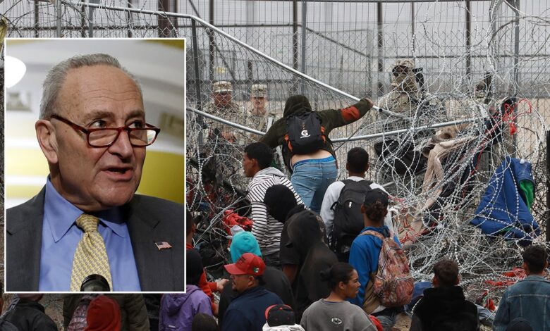 Chuck Schumer, border