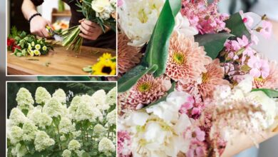 Floral expert debunks viral flower hacks