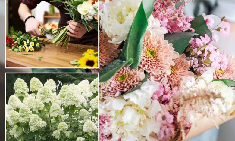 Floral expert debunks viral flower hacks