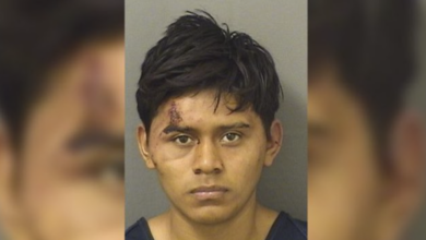 Florida sheriff blamed Biden's government for 'victimizing' Americans after illegal immigrant charged with sexually assaulting child