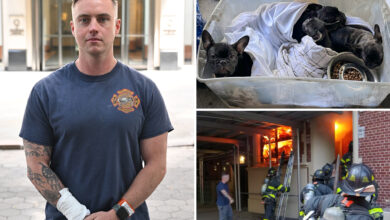 Hero off-duty FDNY firefighter rescues 4 pups from e-bike blaze