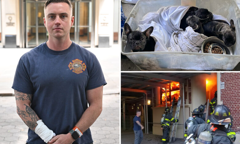 Hero off-duty FDNY firefighter rescues 4 pups from e-bike blaze