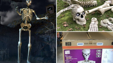 Home Depot sells out of viral Halloween skeleton before summer