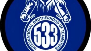 TEAMSTERS LOCAL 533 logo