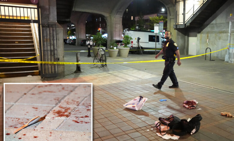 NYC girl, 17, fatally stabbed at Queens train station: NYPD