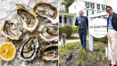 New restaurants ready to make noise in Hamptons, locals try to silence Zero Bond