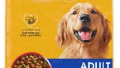 A popular dog food was recalled for containing pieces of metal.