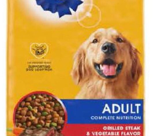 A popular dog food was recalled for containing pieces of metal.