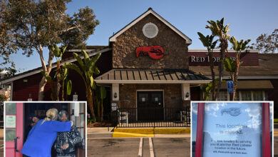 Red Lobster hired auction company 'very recently' before shutting 50 restaurants, may file for bankruptcy next week: sources