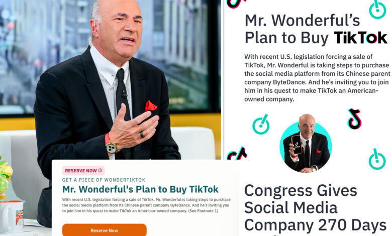 'Shark Tank' star Kevin O'Leary wants to buy TikTok in crowdfunded deal