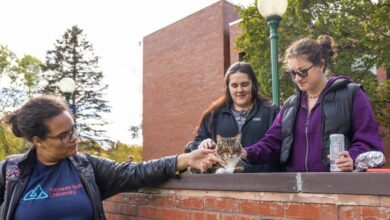 Students at Vermont State University petting Max the Cat, an honorary Doctor of Litter-ature, in front of Leavenworth Hall