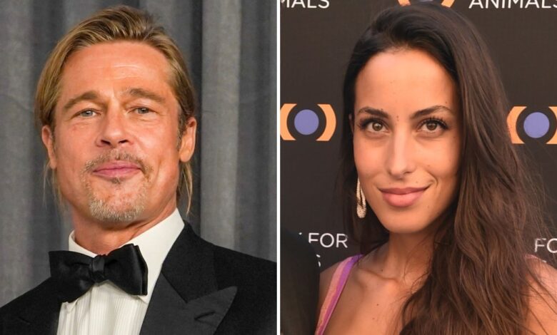 Brad Pitt, Ines de Ramon Considering All Options in Baby Plans