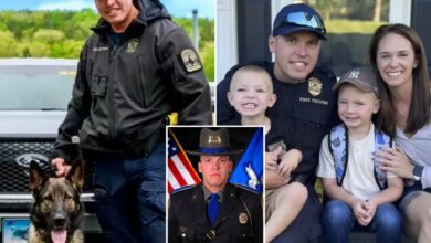 Fallen Connecticut officer, Aaron Pelletier's, K9 to retire, stay with partner's family