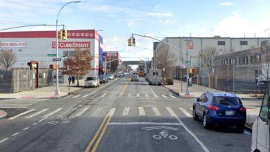 An MTA bus driver is clinging to life after he was stabbed in the neck in Brooklyn Saturday, police sources said.