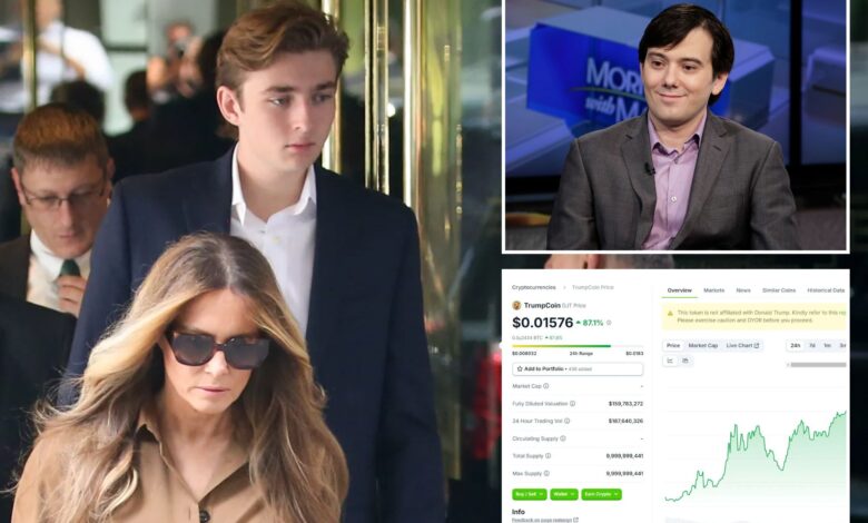 Martin Shkreli claims he and Barron Trump created DJT token