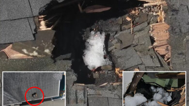 NJ family nearly crushed when massive ice chunk seemingly falls from plane, tears through home