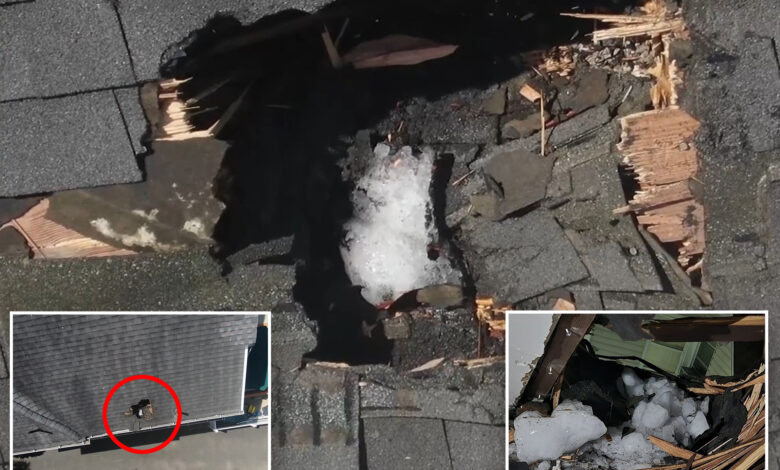 NJ family nearly crushed when massive ice chunk seemingly falls from plane, tears through home