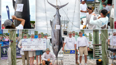 North Carolina fishing team wins $1.7M after catching 504-pound blue marlin