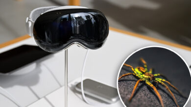 'Scary' Apple Vision Pro bug allows hackers to fill room with spiders, bats