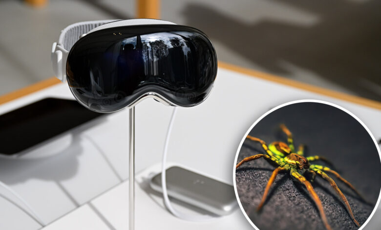 'Scary' Apple Vision Pro bug allows hackers to fill room with spiders, bats