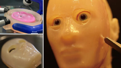 Scientists create robot face with lab-grown living skin