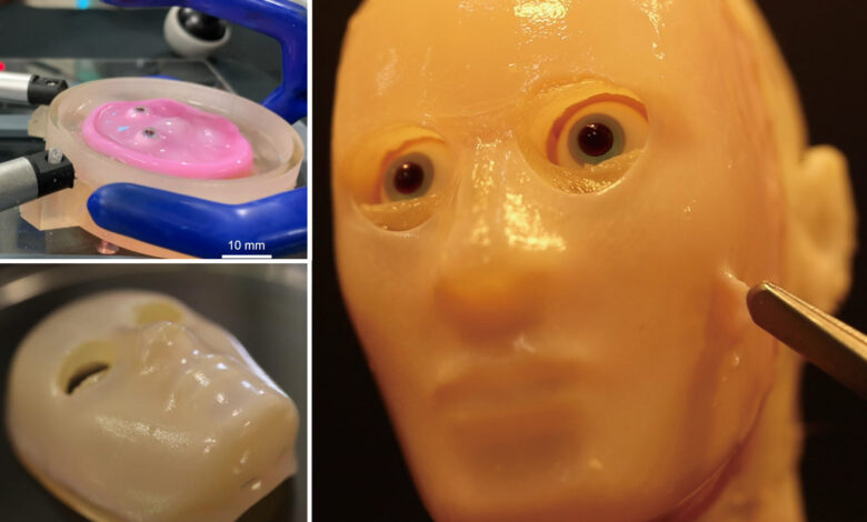 Scientists create robot face with lab-grown living skin