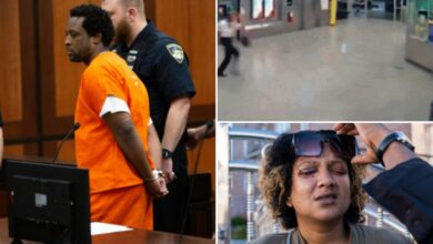 Straphanger blinded by manic Waheed Foster recalls how random attack 'changed' her life in statement read at sentencing