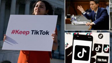 TikTok admits US ban inevitable without court order blocking law