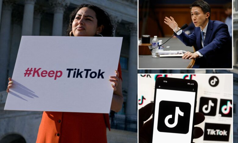 TikTok admits US ban inevitable without court order blocking law