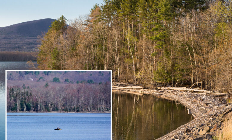 Timber! NYC selling tons of wood from upstate reservoir system