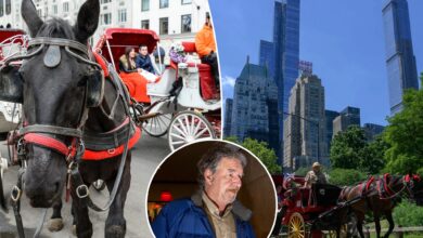 Advocates call for Central Park carriage horse ban ahead of driver’s animal abuse trial