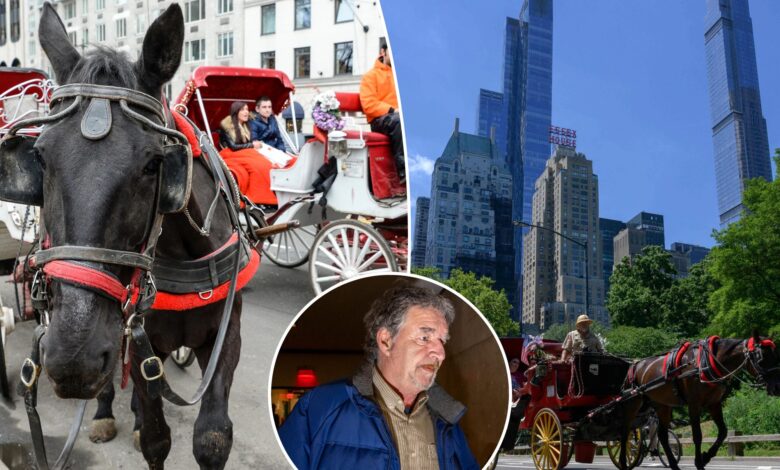 Advocates call for Central Park carriage horse ban ahead of driver’s animal abuse trial