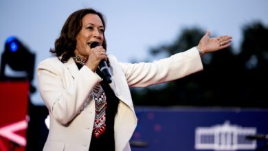 America may soon be subjected to the country's first DEI president: Kamala Harris