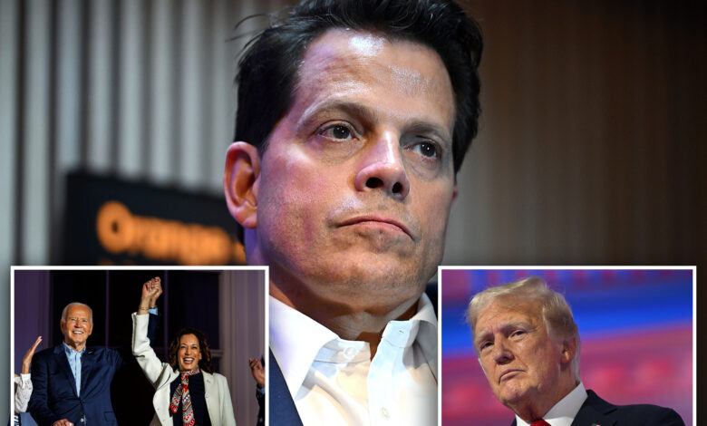 Anthony Scaramucci gave $30K to Joe Biden, now backs Kamala Harris