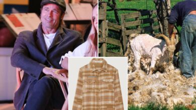 Brad Pitt's God's True Cashmere slammed by PETA for sourcing claim