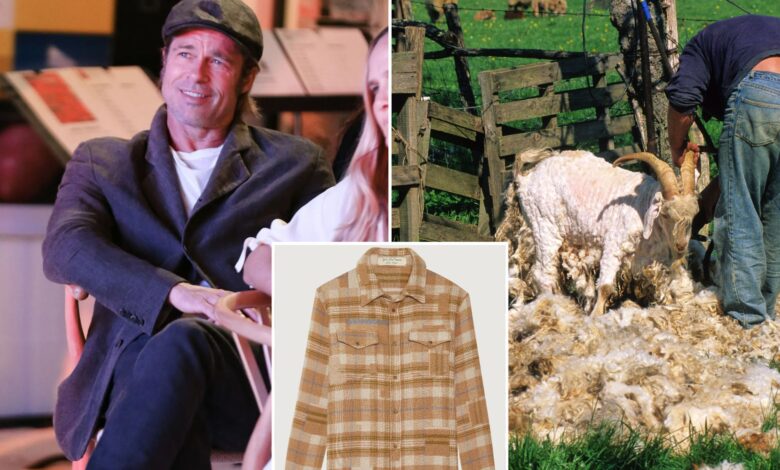 Brad Pitt's God's True Cashmere slammed by PETA for sourcing claim