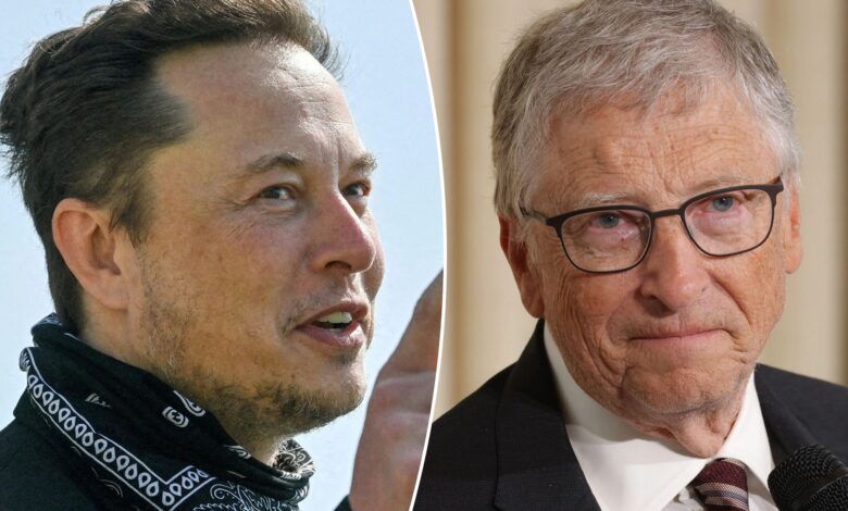 Elon Musk says Bill Gates will be 'obliterated' for shorting Tesla stock