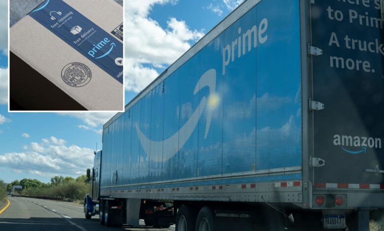 How Amazon Prime Day has transformed online shopping