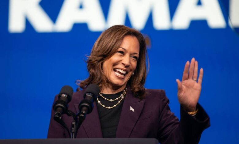 Kamala Harris supported group that bailed violent rioters out of jail in 2020, but media now obscuring that fact