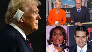 MSNBC execs 'coddling Trump' with 'Morning Joe' pull : insiders